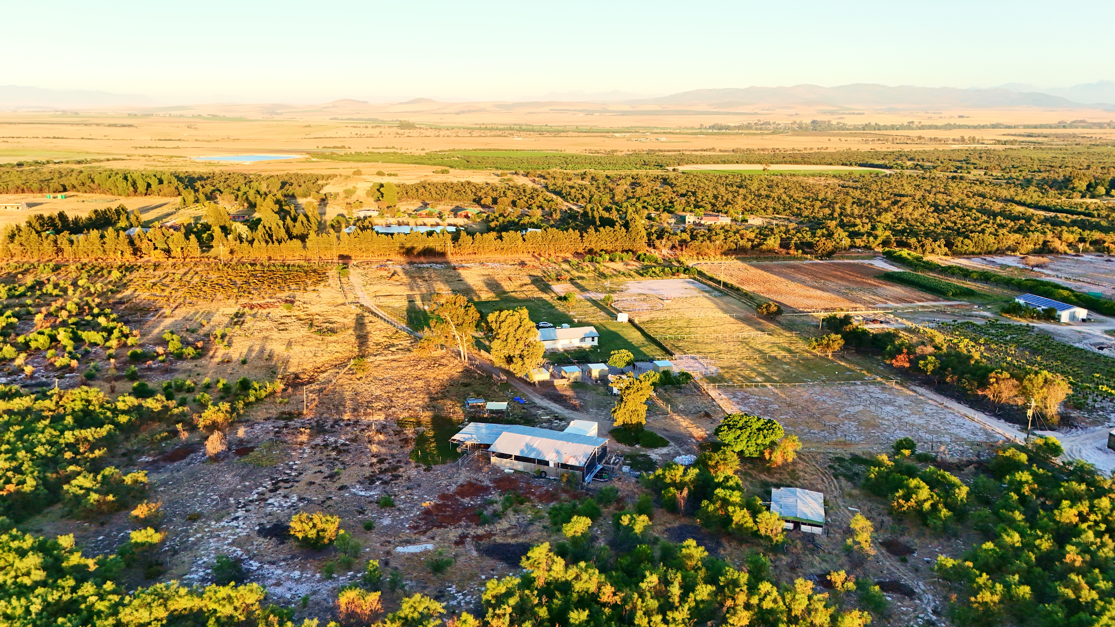 Sunset Farm Survey